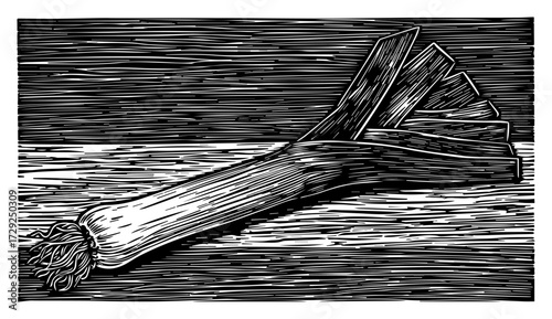 Leek Vegetable in a Vintage Woodcut Style