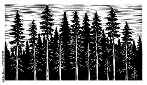 Pine Tree Forest in a Vintage Woodcut Style