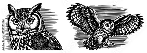 Owl Bird Collection in a Vintage Woodcut Style