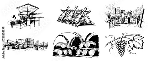 Winemaking and Vineyard Process Hand Drawn Sketches Set