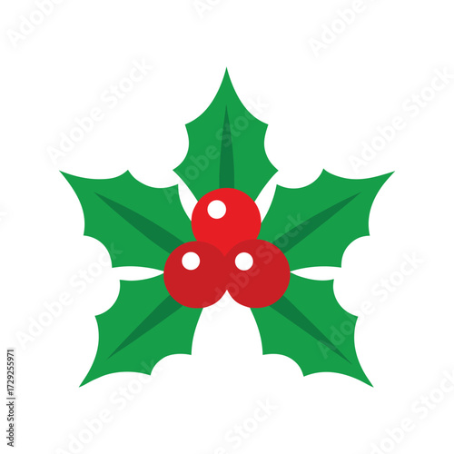 Illustration of holly with three red berries isolated on white background, a festive christmas decoration for the holidays