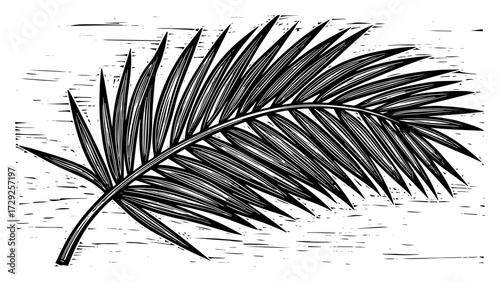 Palm Branch for Palm Sunday in a Vintage Engraved Style