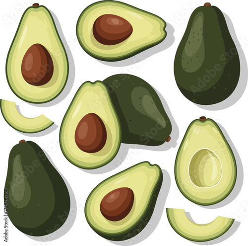 Vector, illustration, green avocado fruits with various slices, food