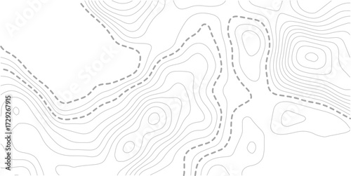 Topographic contour map. Vector cartography illustration. Topography and geography map grid abstract backdrop. Business concept. Fish Fillet Texture, Salmon fillet texture, fish pattern. paper texture
