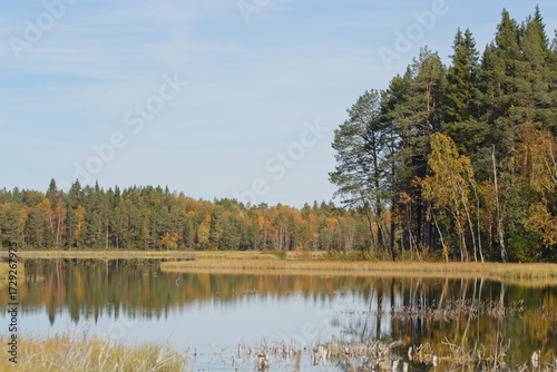 Trees by the lake on a sunny autumn day. Tysjöarna Nature Reserve in northern Sweden