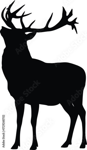 Majestic stag silhouette noble deer antlers wildlife nature forest vector