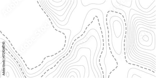 Topographic contour map. Vector cartography illustration. Topography and geography map grid abstract backdrop. Business concept. Fish Fillet Texture, Salmon fillet texture, fish pattern. paper texture