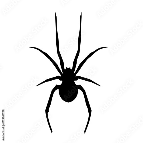 Silhouette of black widow spider insect icon.  Logo, icon, tattoo idea, halloween decoration, and design elements