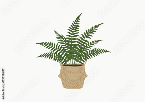 Potted fern plant in a beige pot.