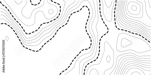 Topographic contour map. Vector cartography illustration. Topography and geography map grid abstract backdrop. Business concept. Fish Fillet Texture, Salmon fillet texture, fish pattern. paper texture