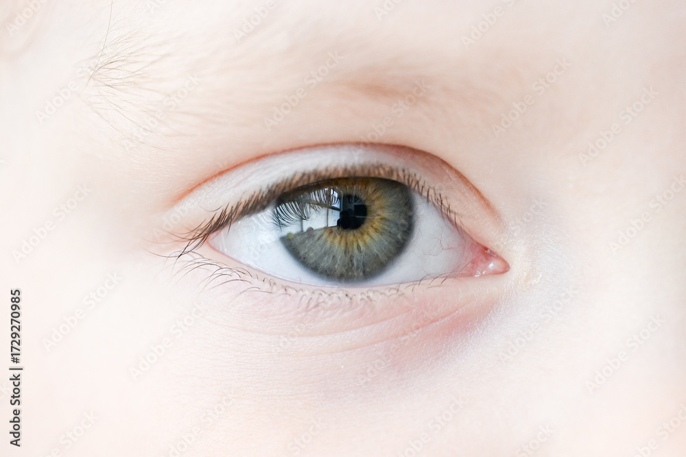Obraz premium Child's Blue Green Brown Colored Eye with Window Reflections. High Detail Structural Anatomy of Human Iris. Shot in Dayllight.