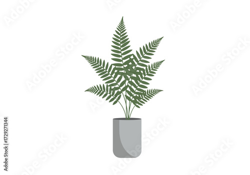 Indoor potted fern plant in gray pot.