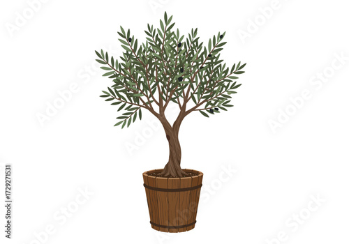 Olive Tree in Wooden Pot Detailed Illustration.