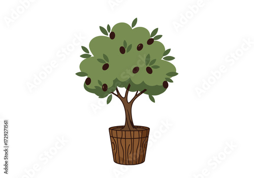 Olive Tree in Pot: A Detailed View.