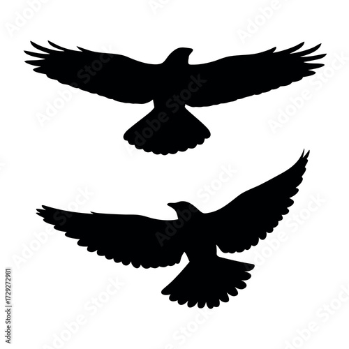 Two silhouette birds of prey soaring with wings extended against a white background