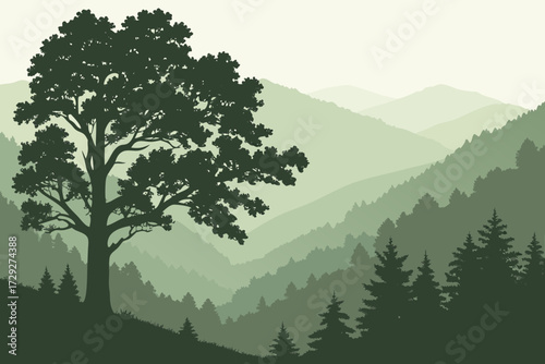 Great Smoky Mountains National Park in Tennessee, misty forested ridges with diverse tree canopy