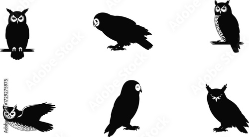 Owl silhouettes, nocturnal bird illustration, perched owl, flying owl, wildlife design, forest animal, raptor art, nature symbol, night predator, wisdom