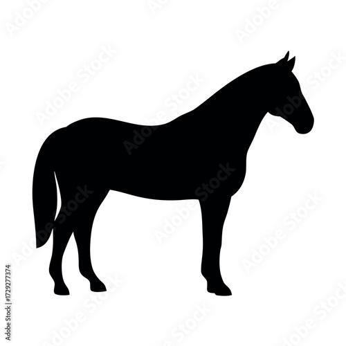 Silhouette of a majestic horse standing proudly against a white background in a side profile view