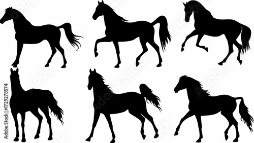 Dynamic horse silhouettes capturing grace, power, and movement across diverse poses for impactful design projects