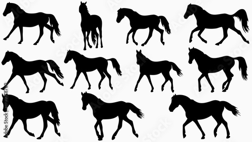 Dynamic collection of horse silhouettes showcasing elegant movement and powerful grace in various action poses