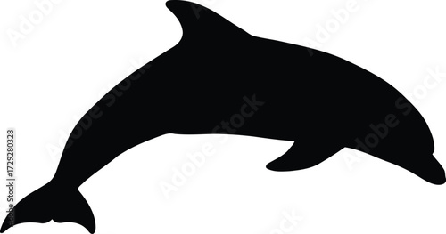 Jumping dolphin silhouette ocean wildlife marine mammal aquatic animal vector