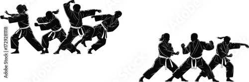 Martial arts silhouettes, karate sparring, synchronized combat practice, fighting stances, traditional gi uniforms, discipline training, teamwork, strength, agility, martial education, technique