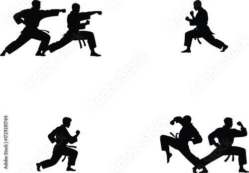 Karate silhouettes, martial arts poses, sparring action, defensive stance, high kick, punch block, discipline training, combat sport, strength, agility, coordination
