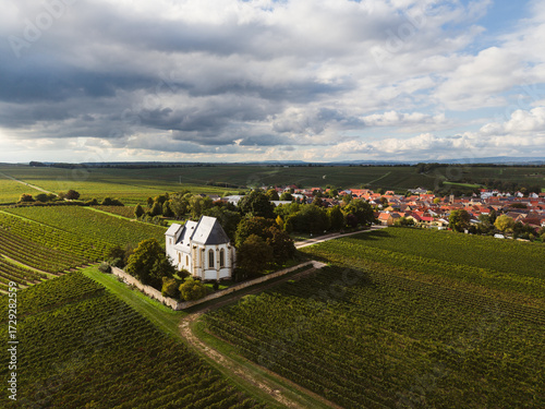Weinberge in Udenheim mit Bergkirche, September 2025