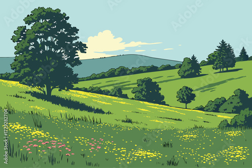 Catskill Mountain Meadows in New York, open alpine fields dotted with summer wildflowers under blue sky