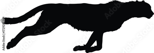 Agile cheetah silhouette running fast wild animal side view vector