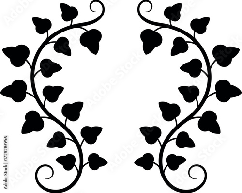 Elegant black ivy swirls decorative flourish silhouette vector Hand drawn