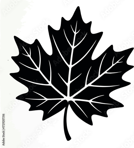 Elegant black maple leaf silhouette vector autumn nature symbol vector Hand drawn