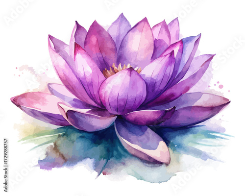 Watercolor Purple Lotus Flower vector