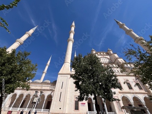 Photography mosque in istanbul
