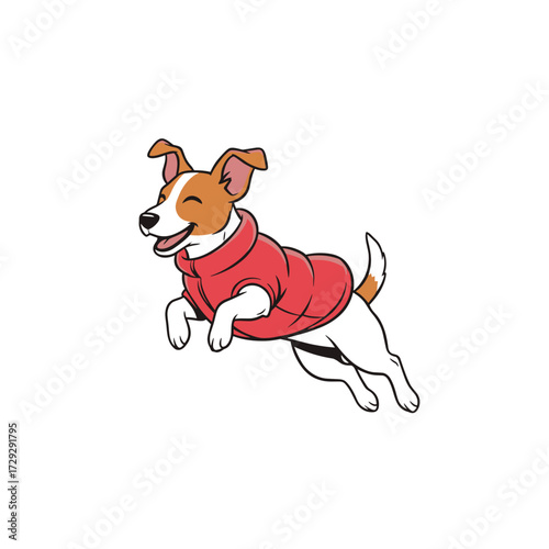 Happy dog  Jack Russell Terrier jumping in a red jacket against a white background  
