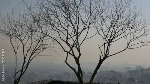 Silhouetted bare trees in the foreground with a hazy view of Tehran skyline in the background. Air pollution obscures Milad Tower and city buildings, creating a moody urban atmosphere.