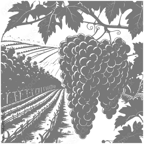 Vineyard Estate with Mountain View Hand-Drawn Illustration