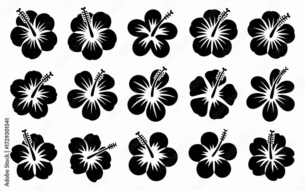 Obraz premium black and white flowers
