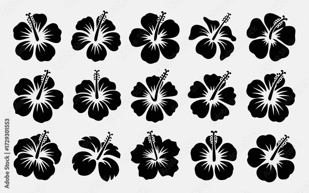 Obraz premium black and white flowers