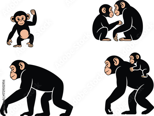 Chimpanzee family adult baby primate wildlife animal nature behavior