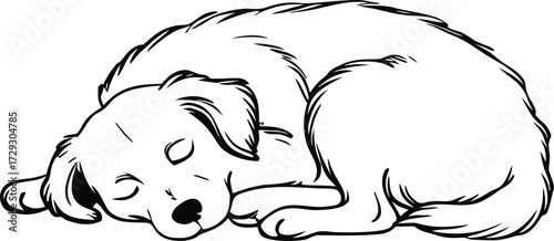 Black and white sketch of a cute puppy sleeping peacefully curled up