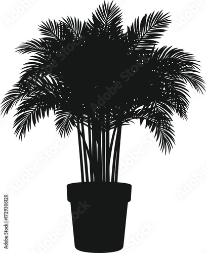 Silhouette of a potted palm tree elegant tropical houseplant isolated vector