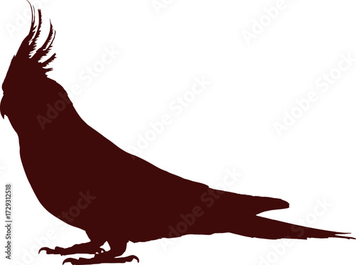 Cockatiel silhouette vector illustration brown bird design art