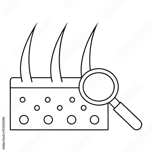 Hair follicle cross section with magnifying glass research