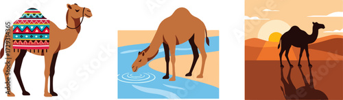 Camel drinking water desert scene