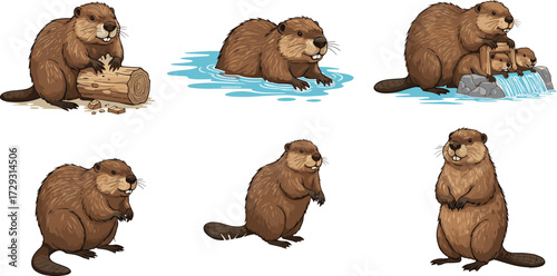 Cartoon beaver vector set with cute poses chewing wood, swimming, building dam and standing, funny woodland animal illustration for kids