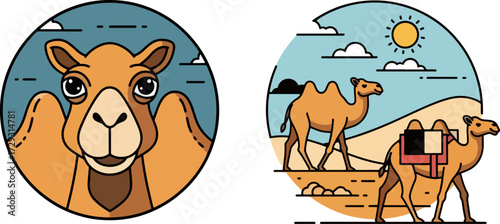 Desert camels illustration