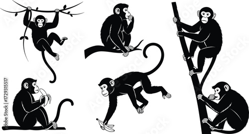 Monkey silhouette vector set with monkeys climbing sitting eating bananas hanging playing, black and white jungle animal illustration collection