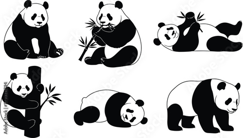 Panda silhouette vector set with pandas eating bamboo climbing sleeping sitting walking and lying down, black and white bear illustration