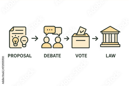 Debate and Voting Infographic